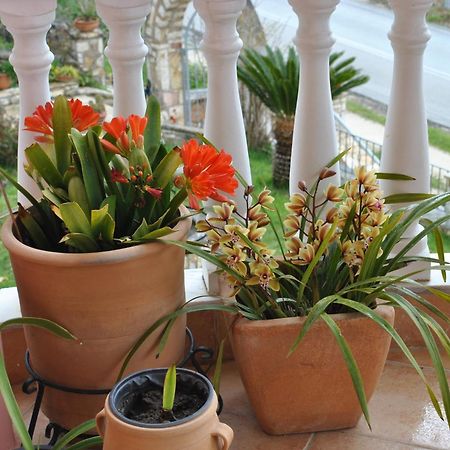 Apartmán Amaryllis House Parga Exteriér fotografie