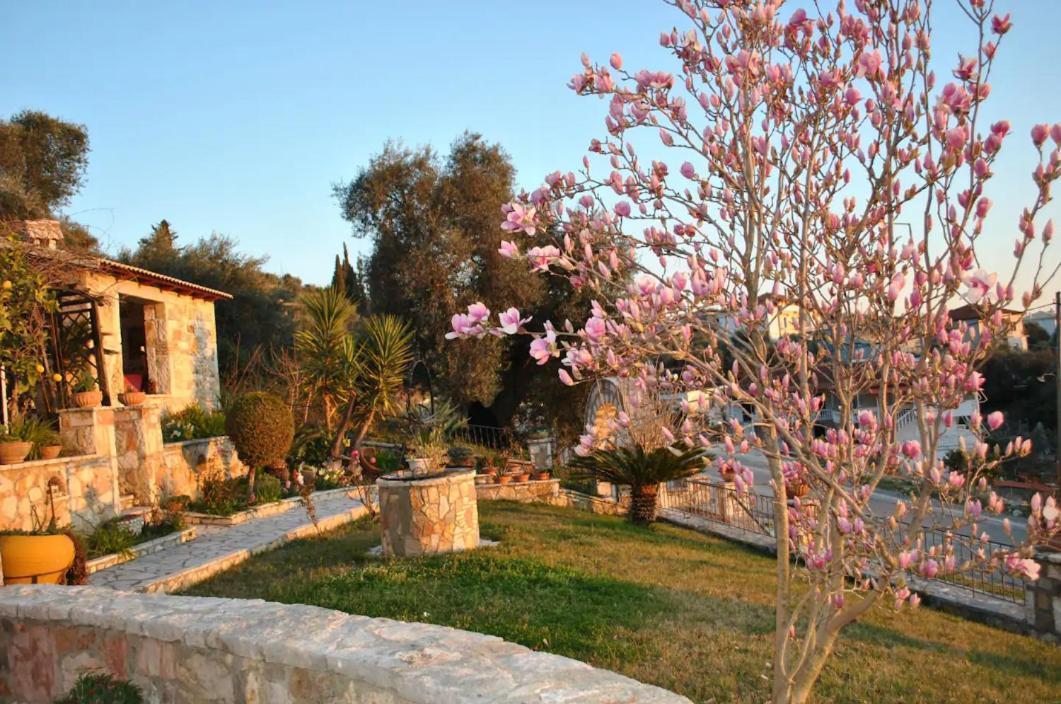 Apartmán Amaryllis House Parga Exteriér fotografie