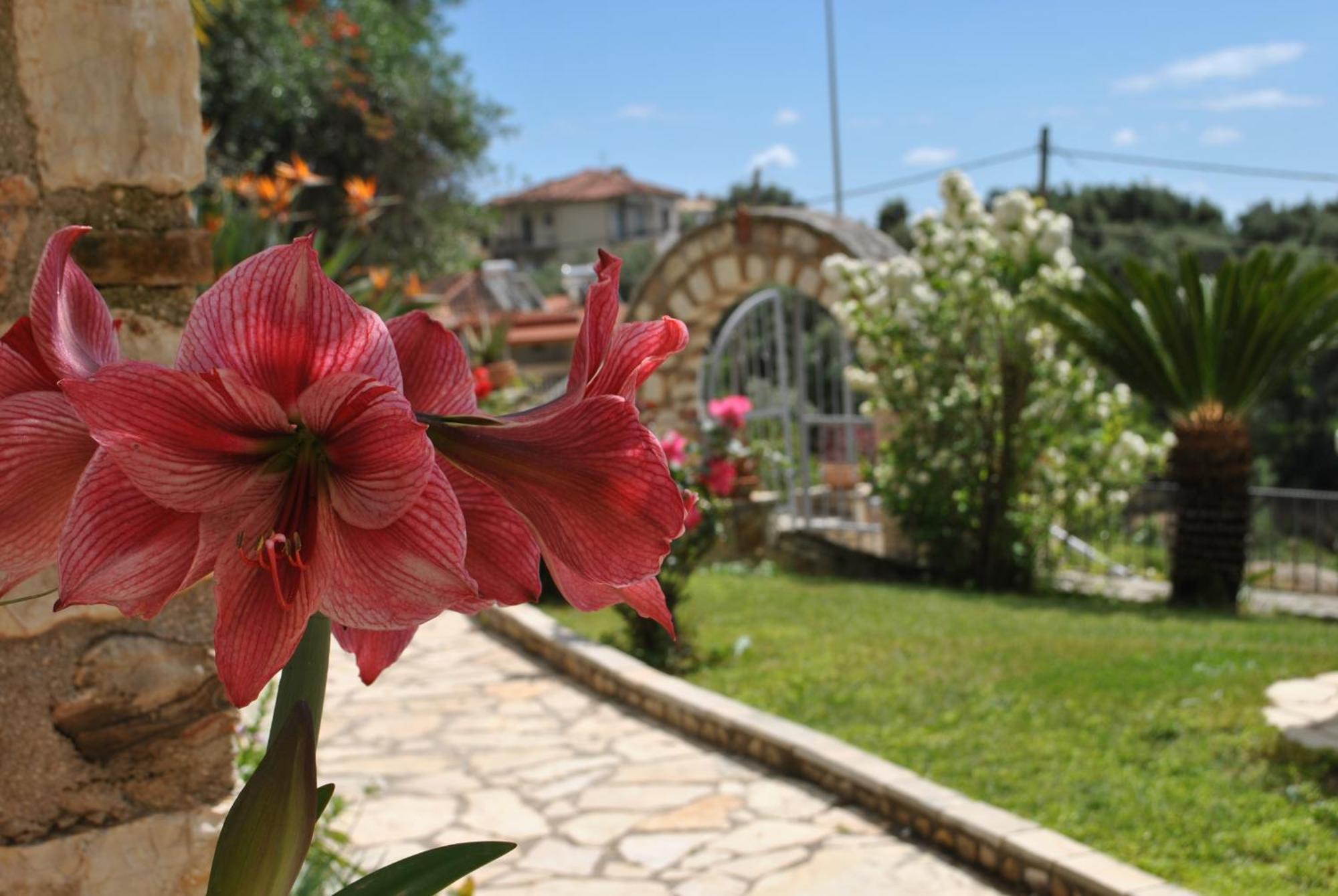 Apartmán Amaryllis House Parga Exteriér fotografie
